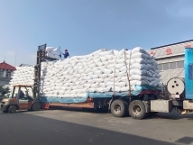 把握機(jī)遇、鉚足干勁、承勢而上